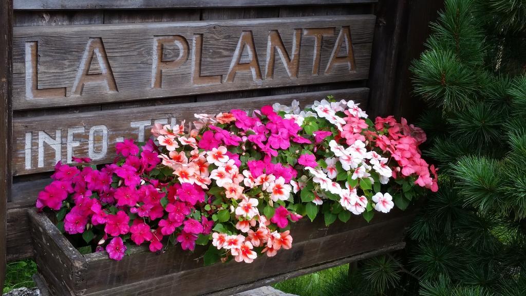 Residence La Planta โอติเซ ภายนอก รูปภาพ